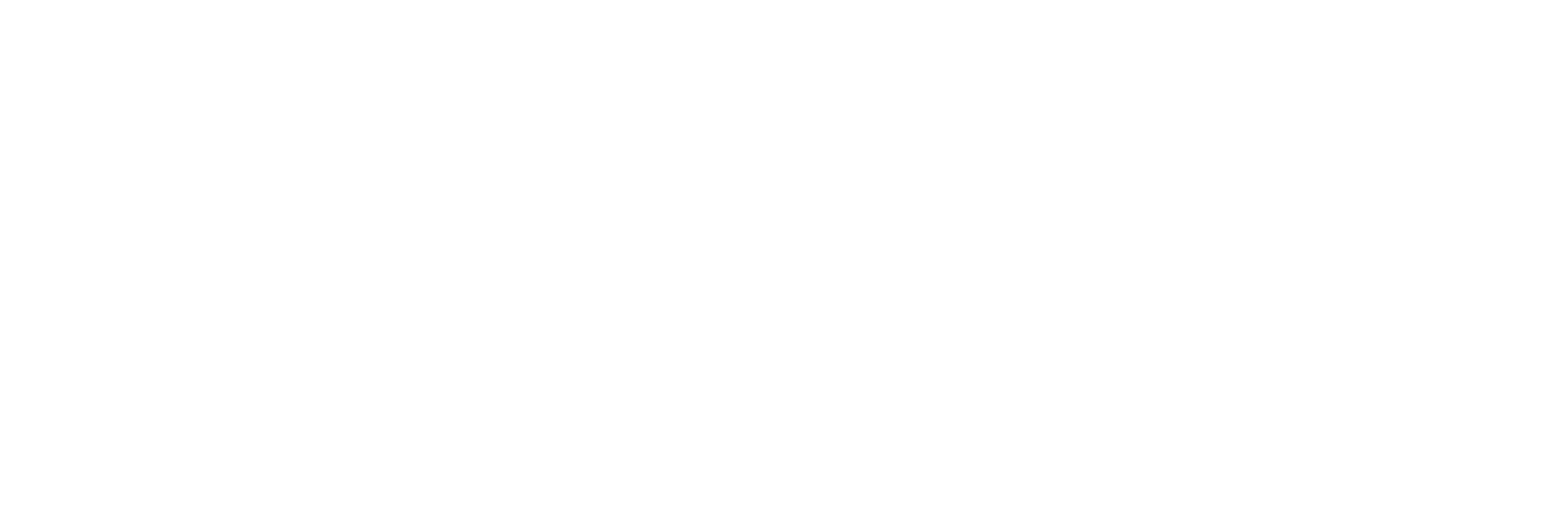 2RLLS-logo-white